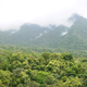 Illustration for article titled Earth's Tropical Rainforests Could Look Completely Different By the End of the Century